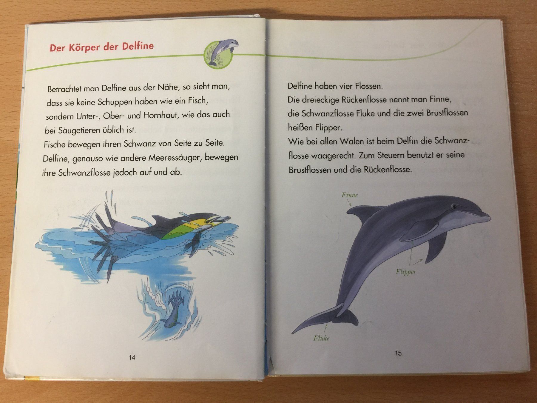 Livres: DELFINE – D'occasion à Glattfelden par cybermaxx 4