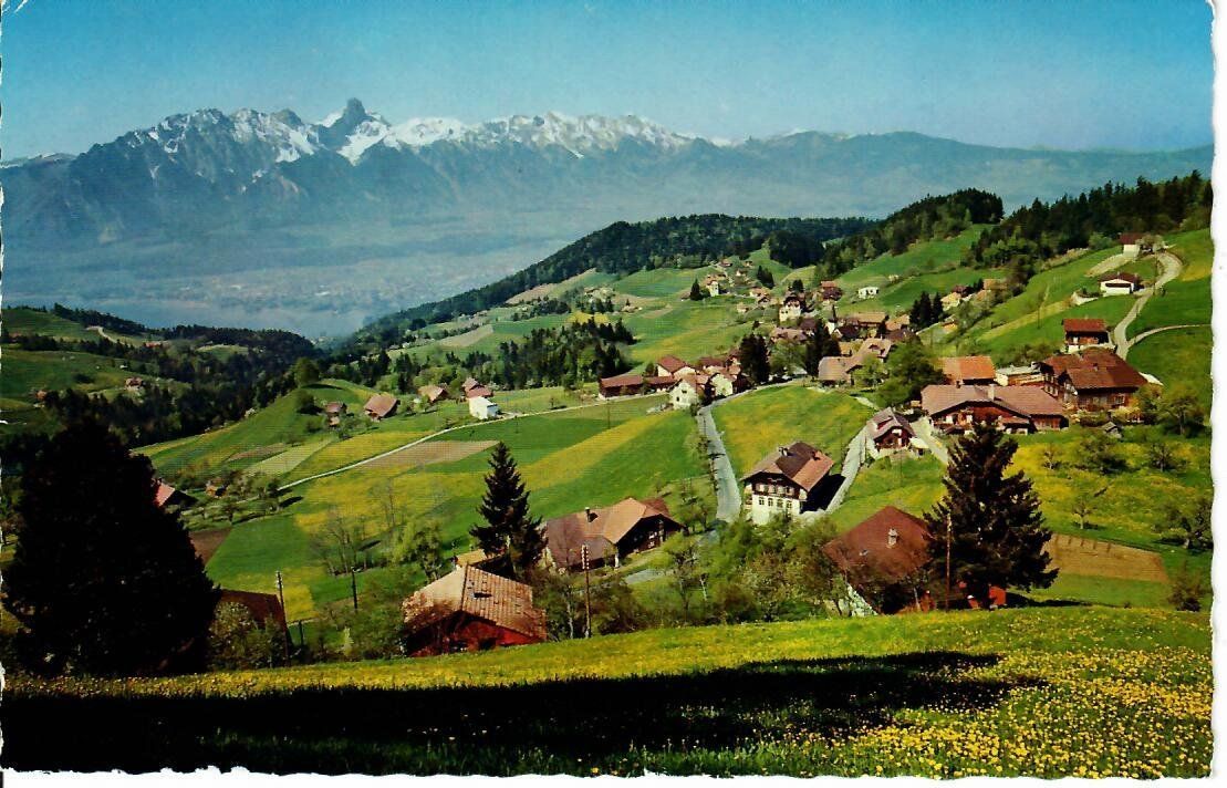 Cartoline postali: Goldiwil ob Thun – Usato da Hochdorf venduto da Ziegel-16