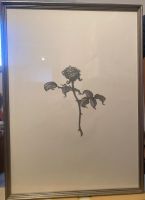 "Rosa secca" – Stampa d’autore numerata, firmata “Talù”