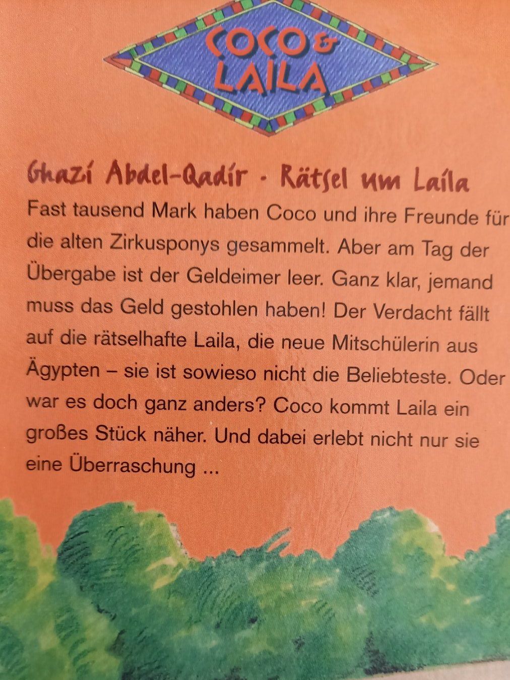 Libri: Vier Jugendbücher ab 10 Jahren – Usato da Steinhausen venduto da fal_zsm5 2