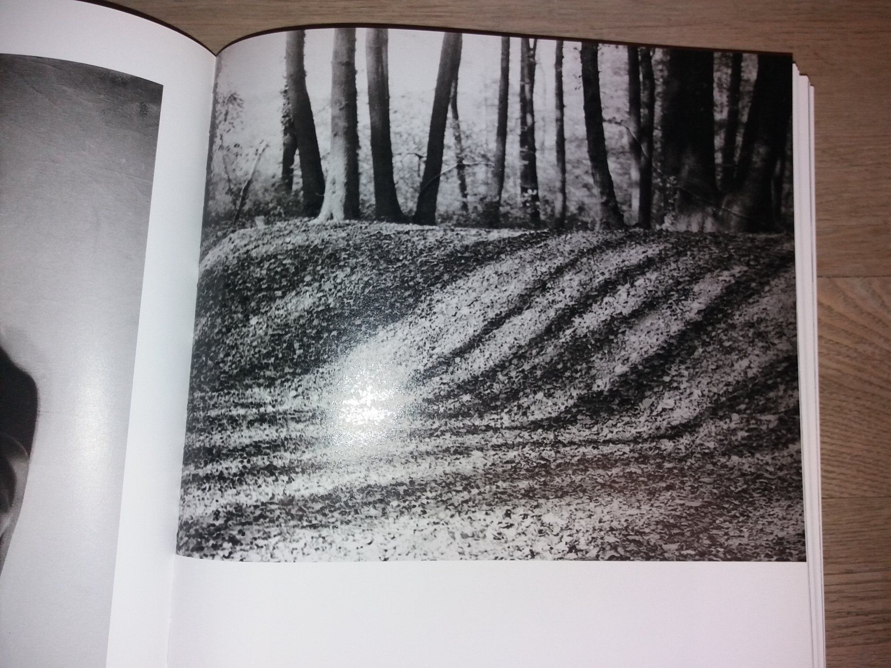 Libri: FOTOKLASSIKER Blumenfeld gesamtwerk – Usato da Welschenrohr venduto da Regool 6