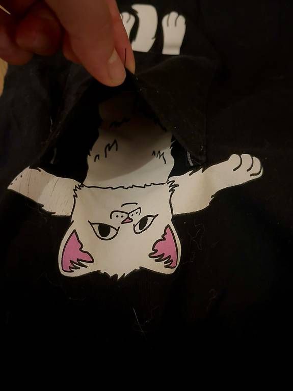 T-shirt: Shirt mit Katze von RIPNDIP – Usato da Oberwil BL venduto da wanndann 2