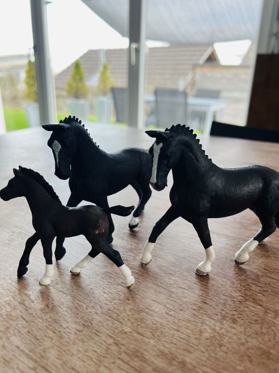 Schleich Giocattoli: pferdefamilie von schleich – Usato da Beinwil am See venduto da -Sparky-