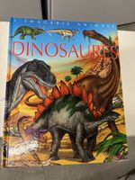 Livre dinosaures pour enfants la grande imagerie