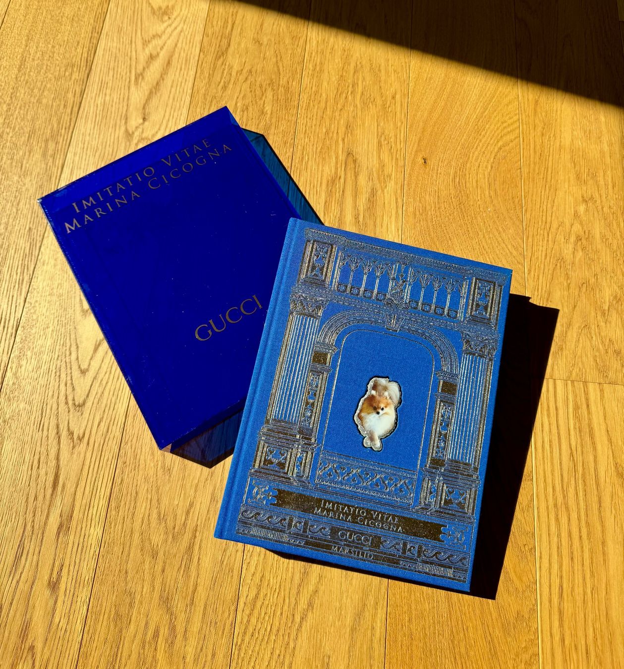 Libri: RARE Livre de collection GUCCI "IMITATIO VITAE" – Nuovo (secondo la descrizione) da Fully venduto da Gaga1990 2