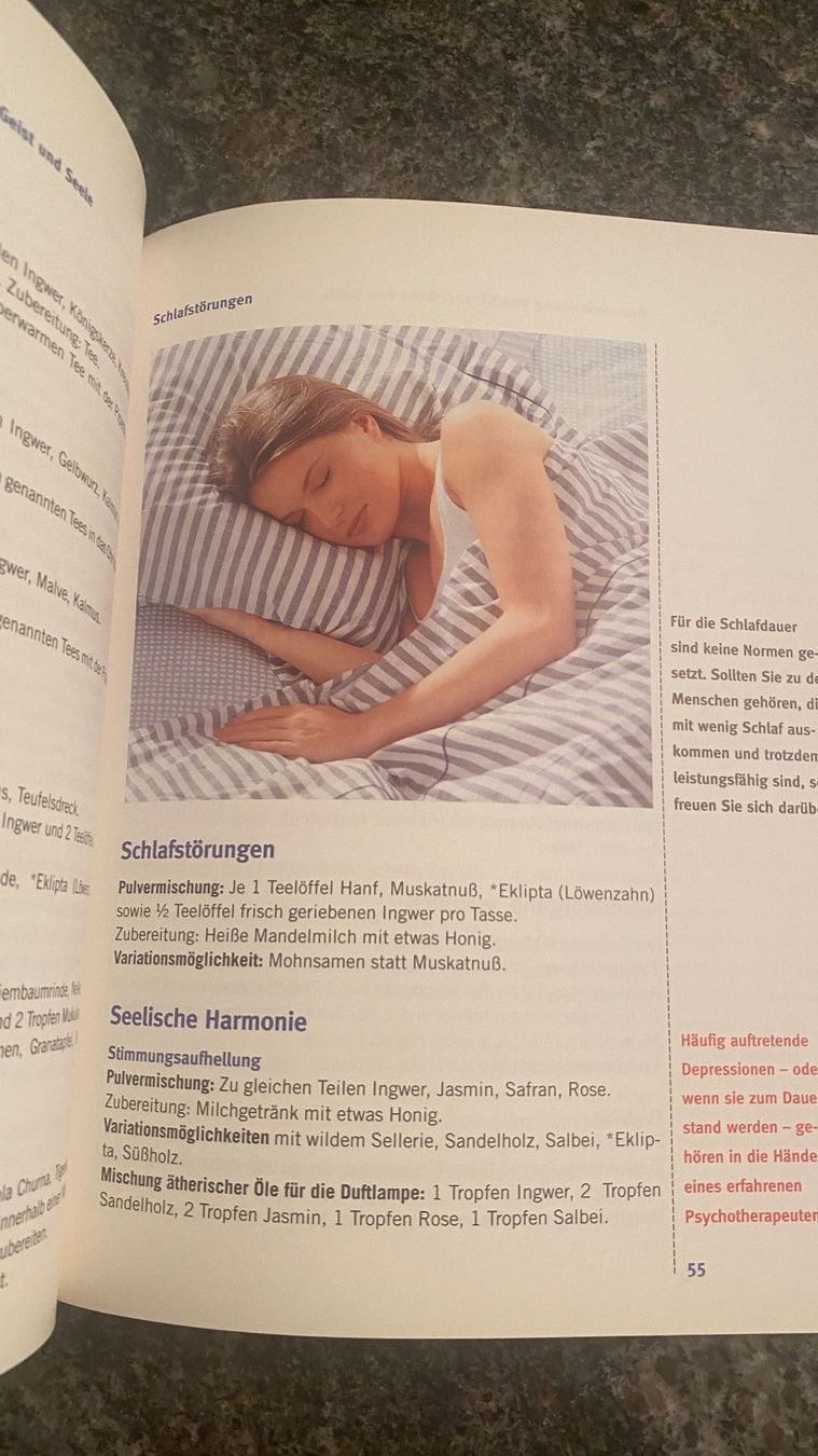 Bücher: Ingwer wirkt Wunder – Gebraucht aus luzern von bar_5gtr 1
