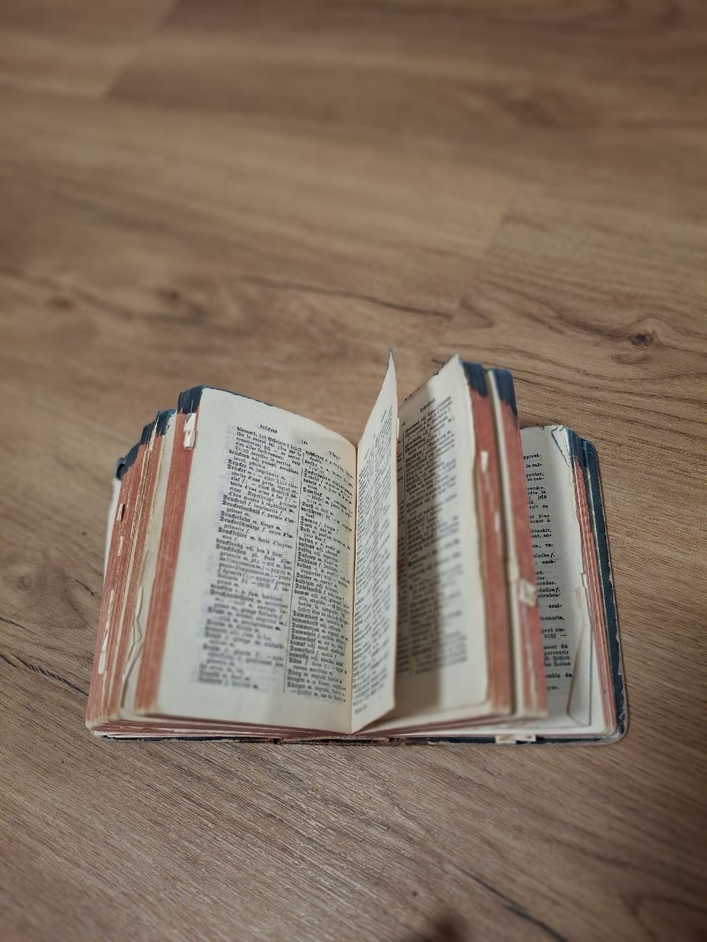 Libri: Französisches Taschenwörterbuch  – Usato da Bäriswil BE venduto da vonys 1