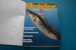 Zander Barsch Wels Ein Sonderheft der Zeitschrift Blinker