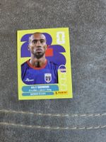 Panini WM 2026 CPV 19