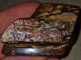 Seltener natürlicher Woodreplacement Opal aus Australien