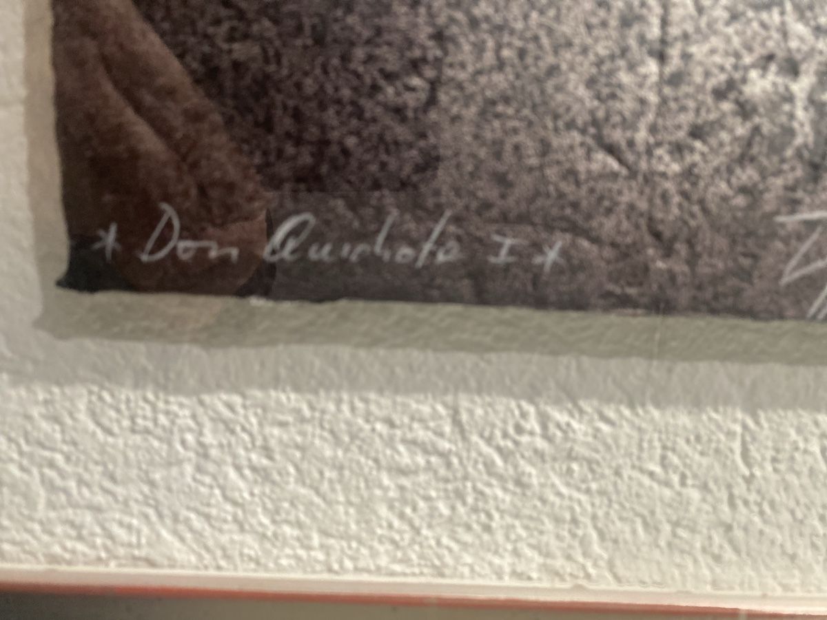 Gemälde: Don Quichote 2 Bilder Signiert 60:75 cm – Gebraucht aus Ballwil von lukyluciano21 4
