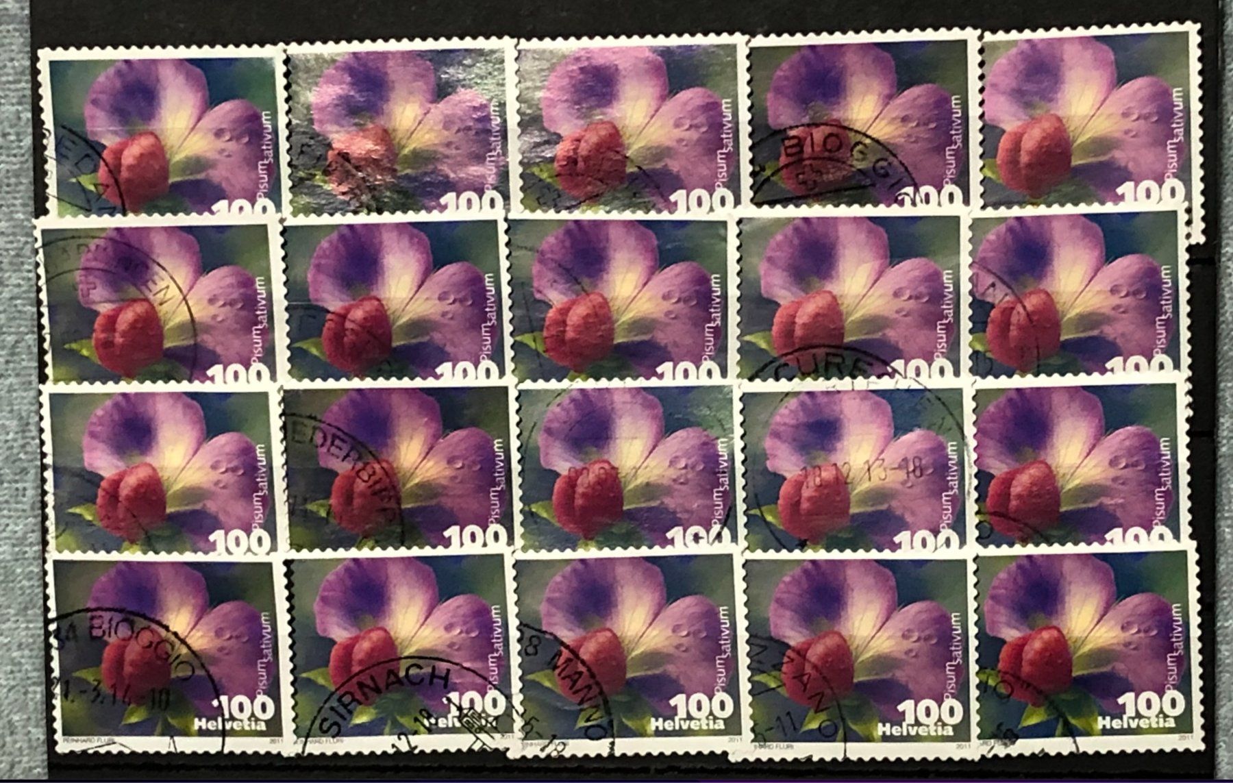 Tutti i francobolli: Nr.1377 Kiefelerbse mit Stempel 2011    – Usato da Aarau venduto da Billa007