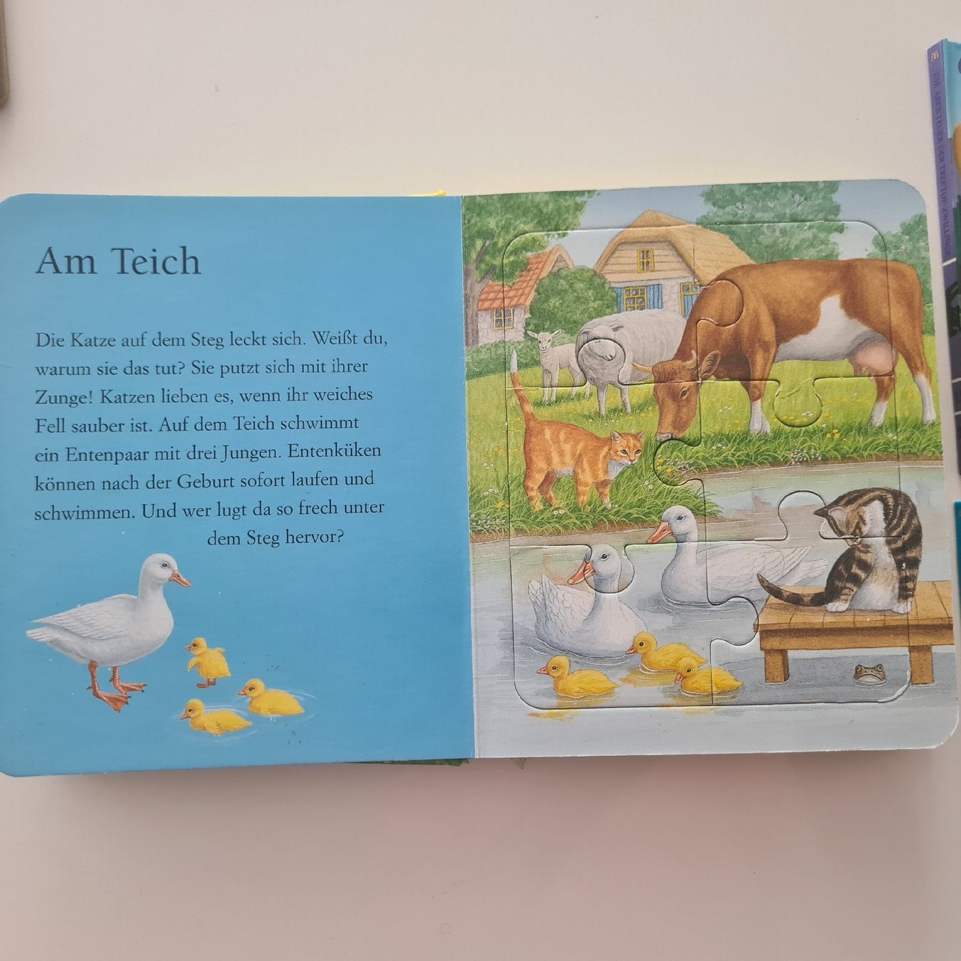 Livres: Verschiedene Kinder Bücher – D'occasion à Steinen par turbogeiss99 8