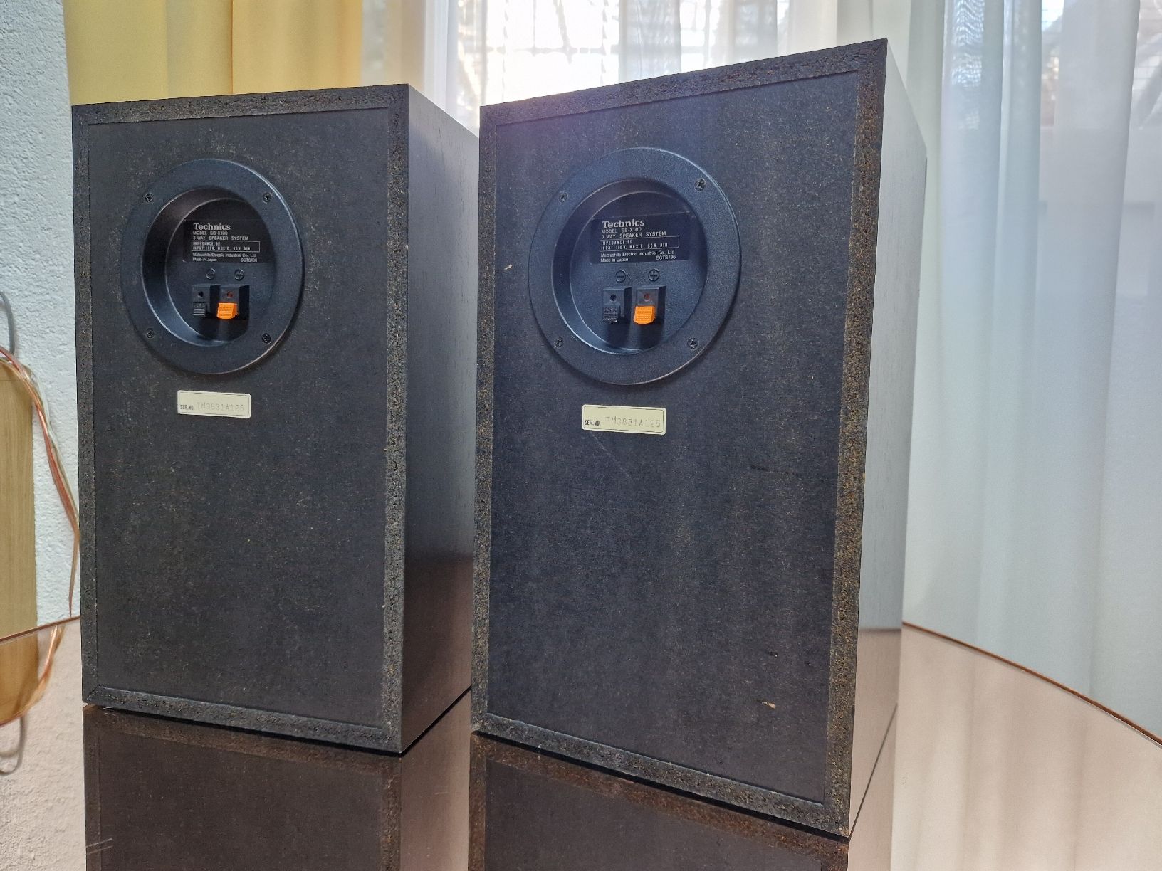 Technics Casse acustiche: Technics SB-X100 – Usato da Arbon venduto da Mayak_Sound 6