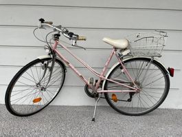Damenfahrrad Mondia