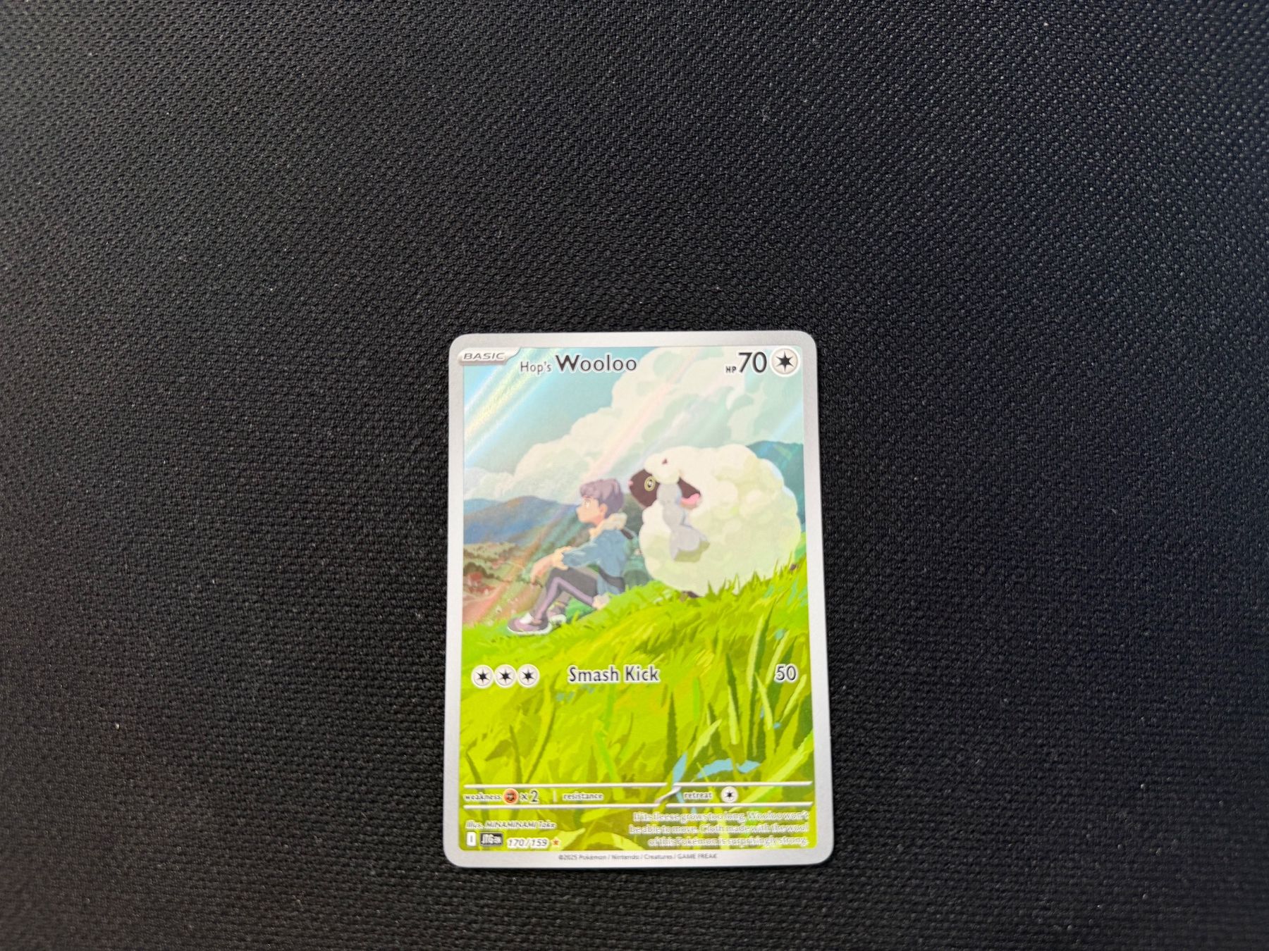 Pokémon Cartes à collectionner: Hops Wooloo 170/159 – D'occasion à Zürich par mountainwizard00