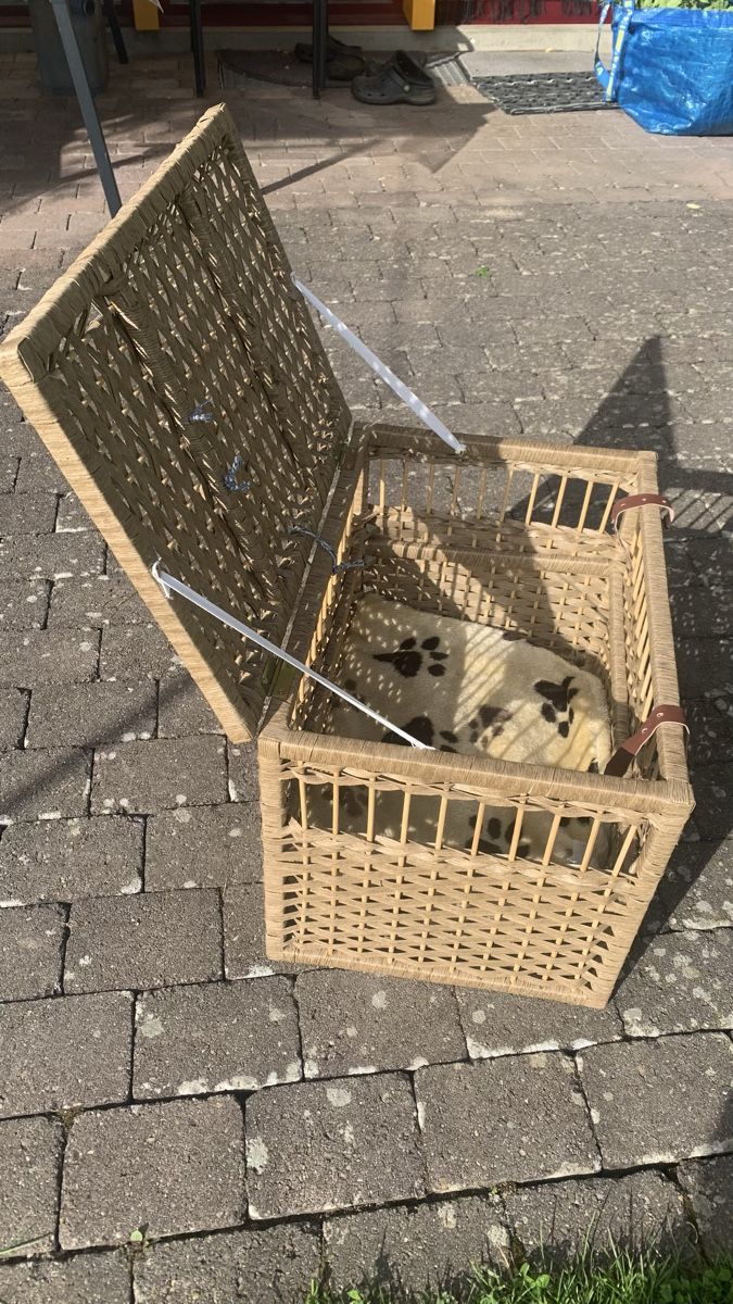 Cucce & Letti: Katzen Transportkorb – Nuovo (secondo la descrizione) da Hindelbank venduto da hirzel02 3