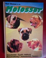 Molosser Buch - Hunde Geschichte, Zucht, Haltung top!