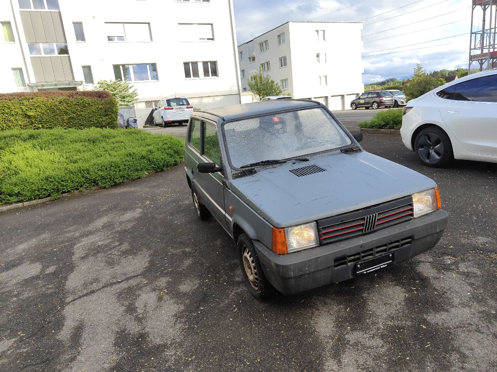 Fiat Automobili: Fiat Panda 900 Frisch ab MFK – Usato da Hofstetten ZH venduto da Meiasterix