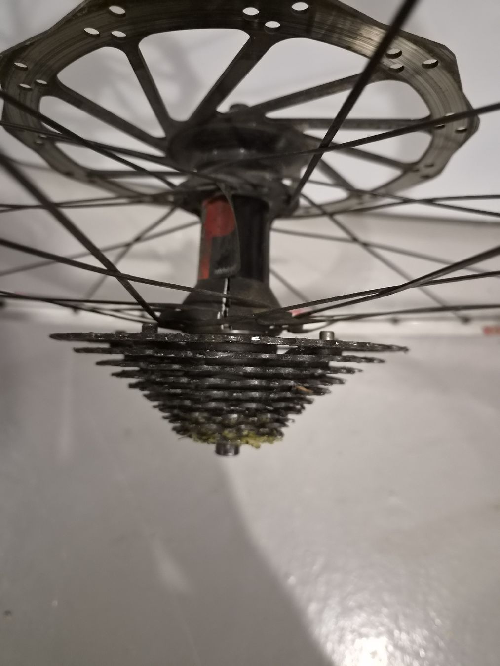 Pneumatici & Ruote complete: 26" MTB Hinterrad, Nabe gebrochen – Difettoso da Hausen am Albis venduto da 11eleven 2