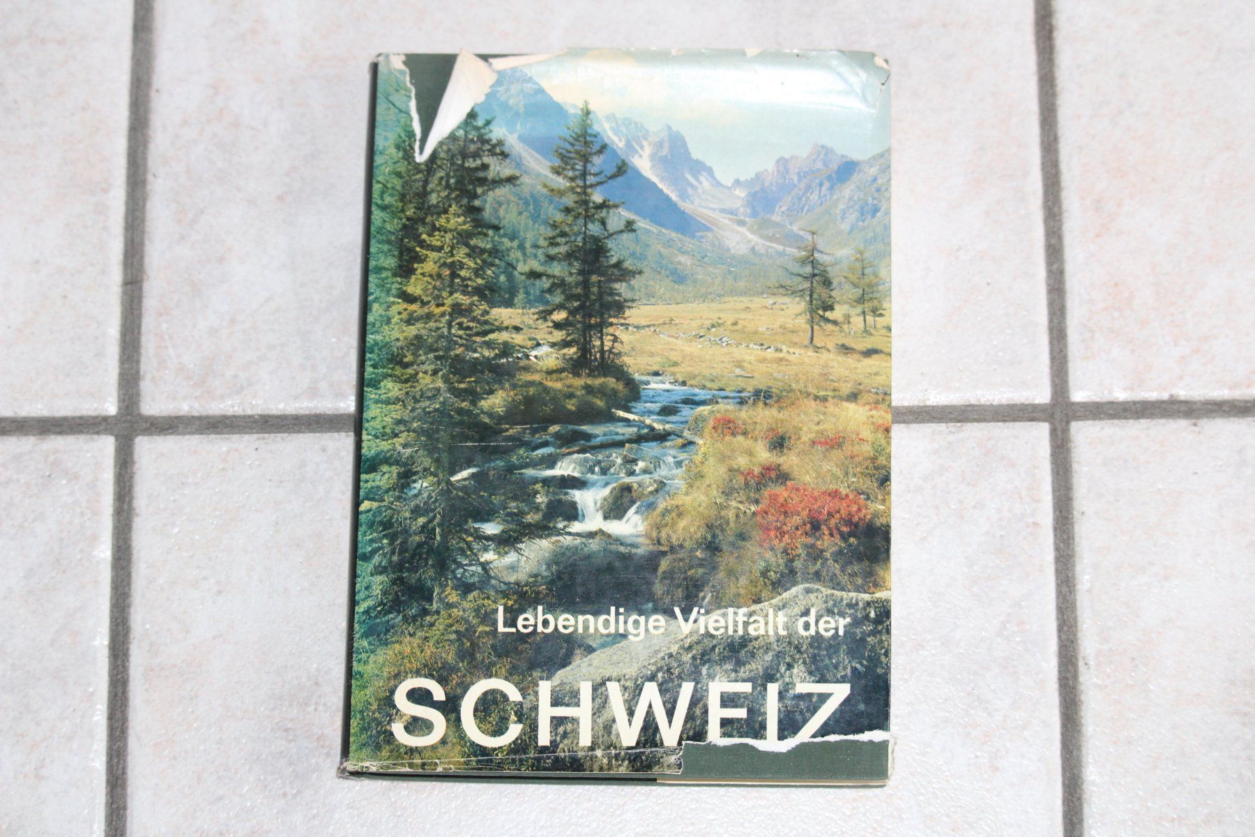 Libri: Schweiz Lebendige Vielfalt – Usato da Grenchen venduto da juebo