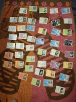 Pokémon Sammelkarten English 