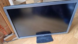HP Monitor