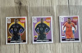 Lot de 3 vignettes Panini FIFA: Caicedo x2, Gakpo x1