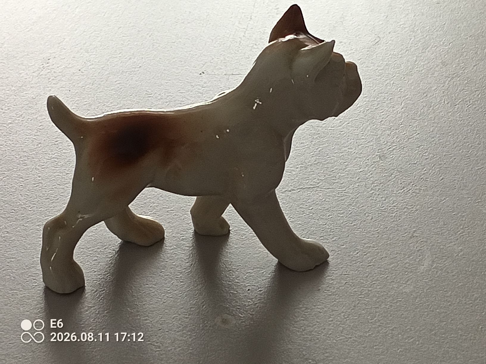 Statuette: Porzellanhund – Nuovo (secondo la descrizione) da Zürich venduto da Mitzi6
