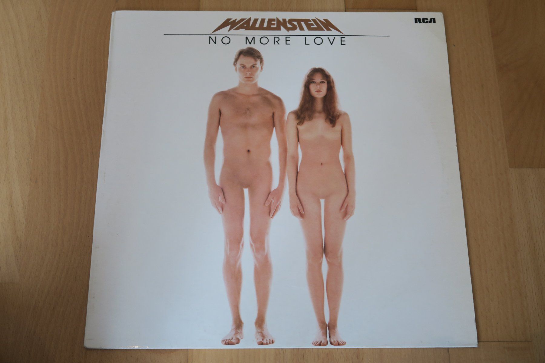 Dischi in vinile: Wallenstein – No More Love – Usato da Thun venduto da Karibu70