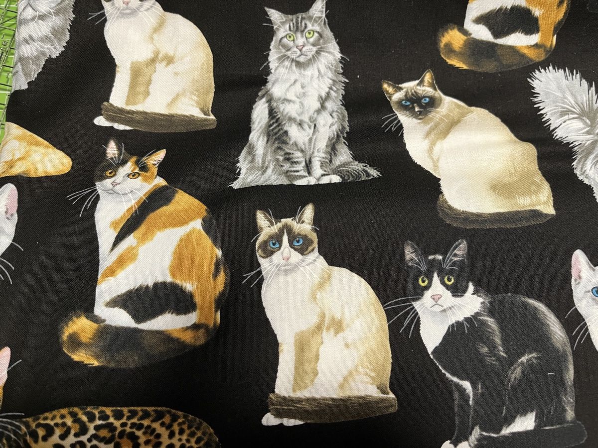 Tessuti: Patchworkstoffe Katzen – Nuovo (secondo la descrizione) da Seuzach venduto da KreativmitStoff 1