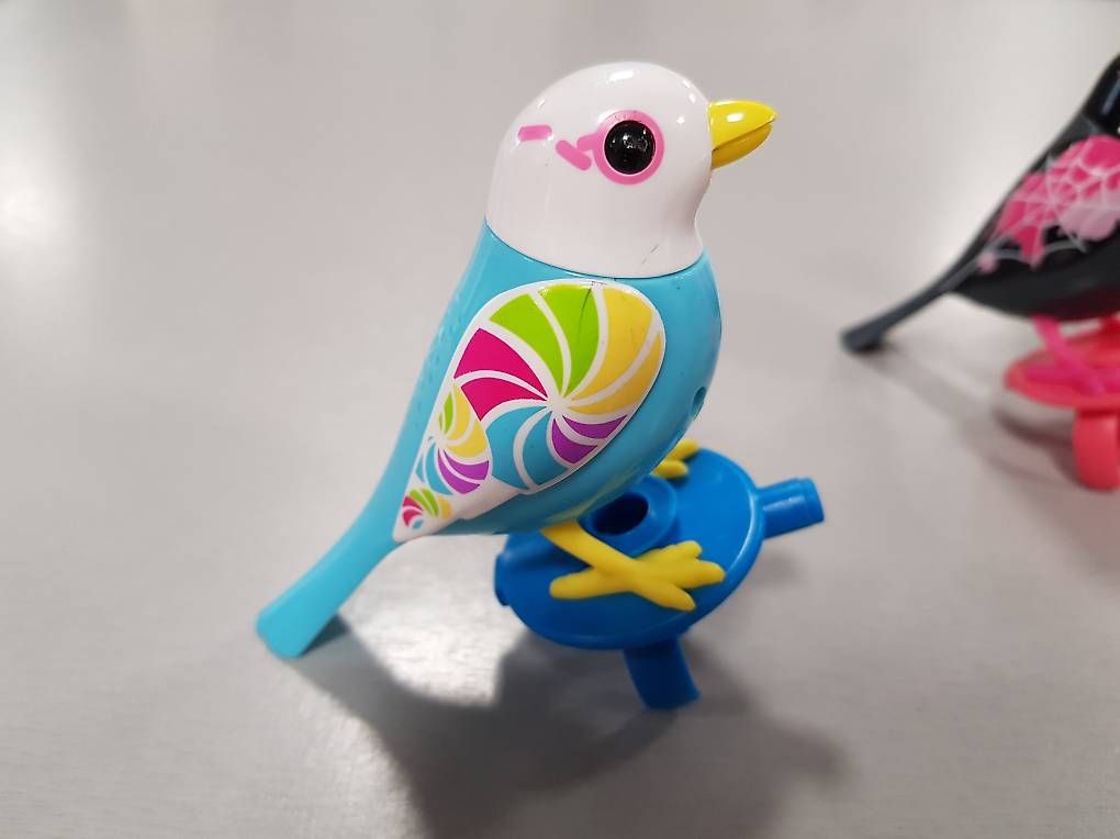 Spielzeuge: My little live pet Vögel – Gebraucht aus Brüttisellen von mfran 3