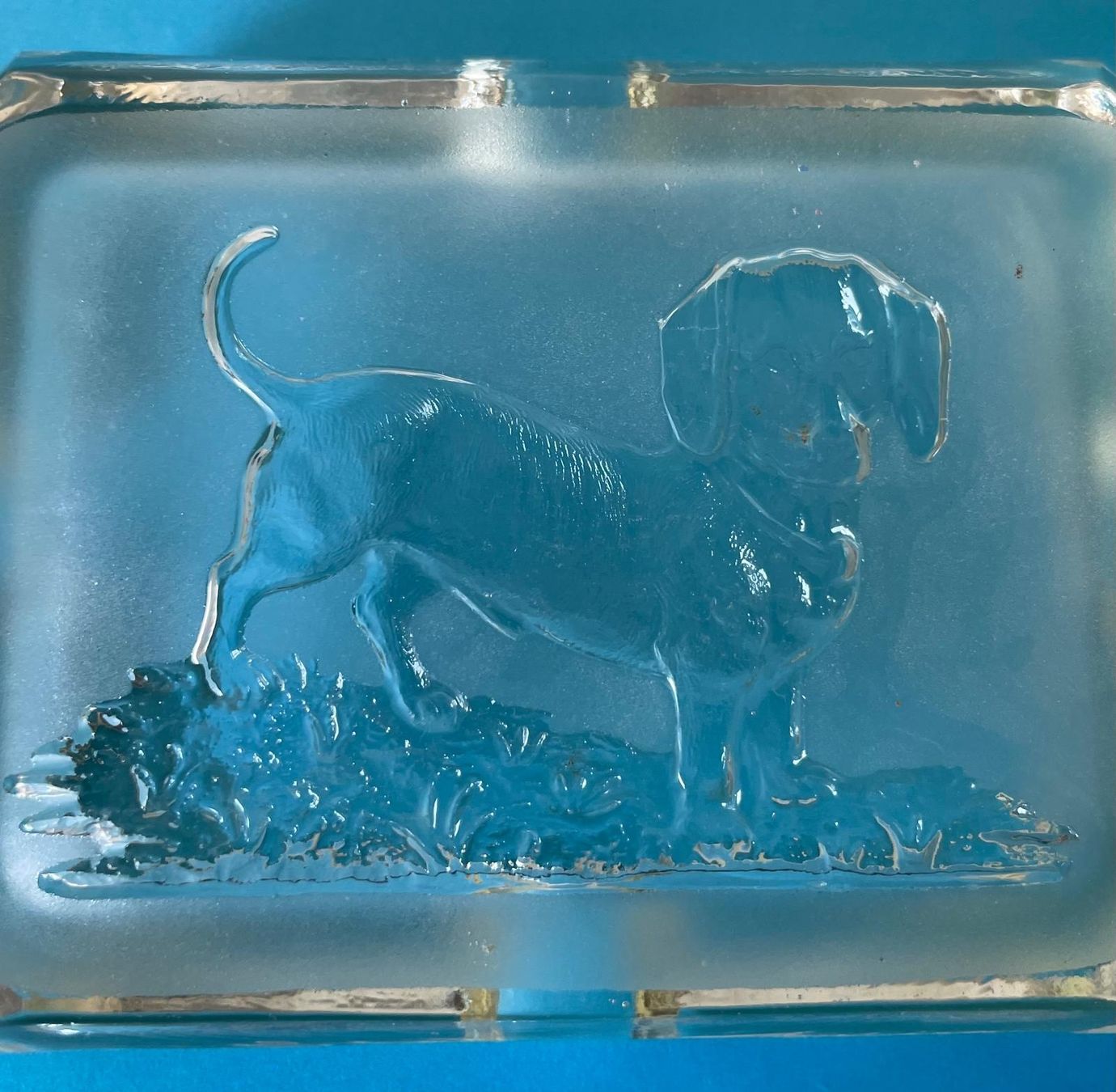 Portacenere: Alter Aschenbecher aus Glas mit Dackel – Usato da Basel venduto da Jcva 6