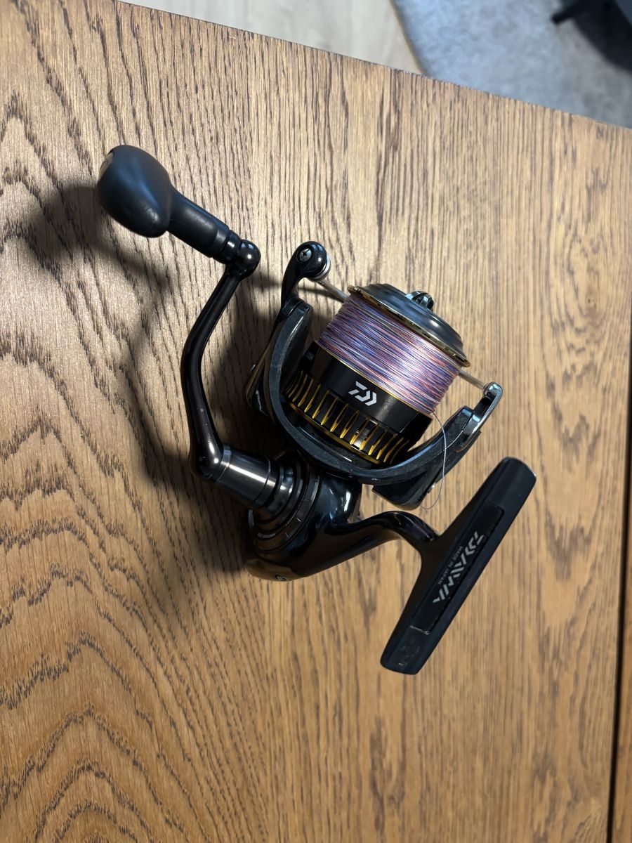 Daiwa Tamburi & Mulinelli: Angelrolle Daiwa Certate HD 3500 – Usato da Erlach venduto da Louis022