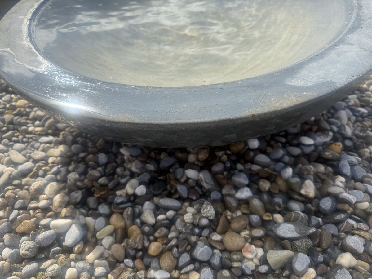 Schalen: Wasserschale – Gebraucht aus Horriwil von Carrera68 4
