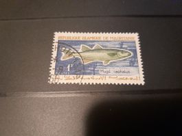 Mauritanie - Timbre rare avec poisson - Mugil cephalus