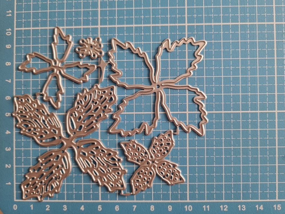 Stanzschablone Nr.227,Blume,Weihnachtsstern(Sizzix geeignet) (Neu und  originalverpackt) in Gretzenbach fr CHF 7.5  mit Lieferung auf Ricardo  kaufen