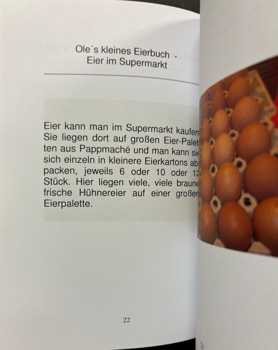 Libri: Oles kleines Eierbuch – Nuovo (secondo la descrizione) da Sarnen venduto da Livres 3