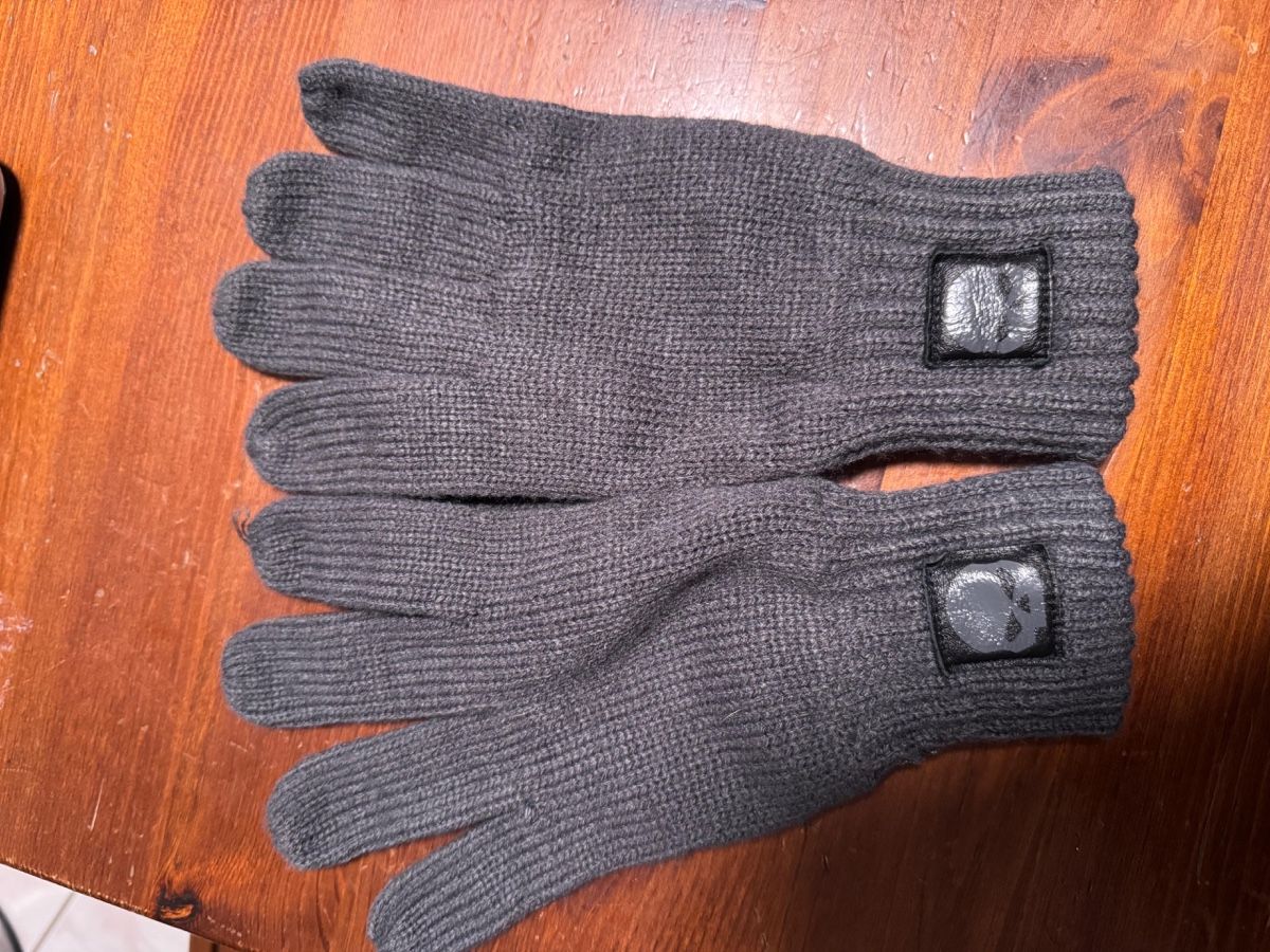 Harley-Davidson Guanti & manicotti: Harley Davidson Handschue – Usato da Sementina venduto da RiccardoCo