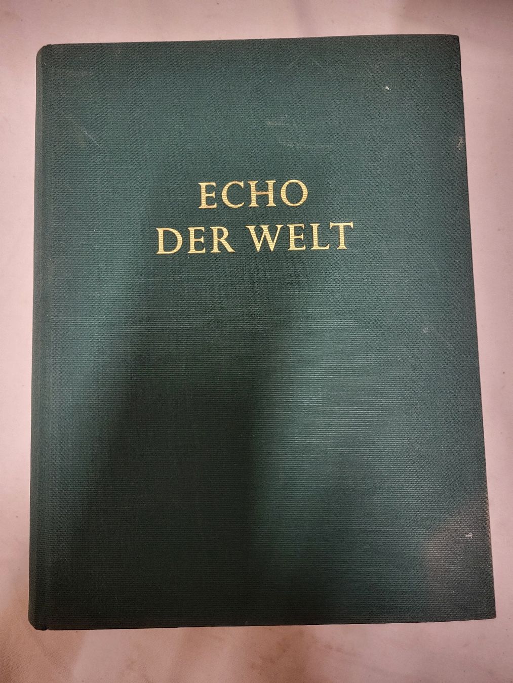 Libri: Echo der Welt – Usato da Basel venduto da Treasurehunter 1