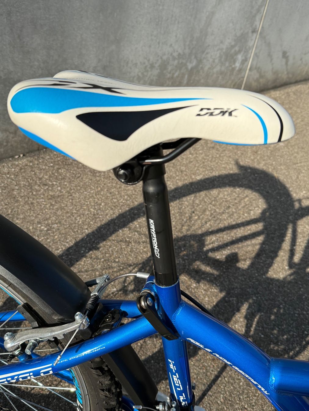 Velos: Capriolo DIAVOLO Velo – Gebraucht aus Zürich von Stutzv 6