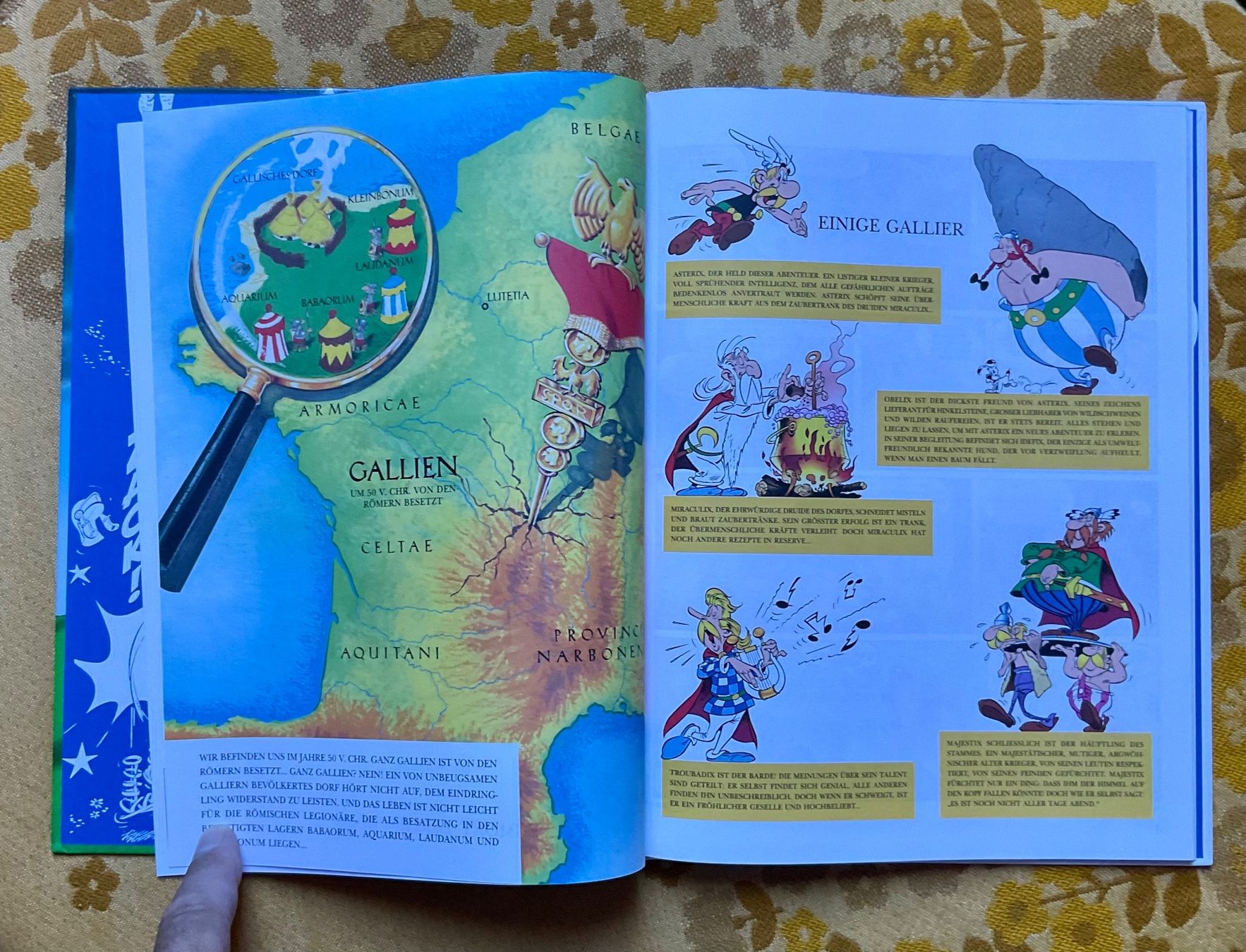 Fumetti: Asterix Band Nr 33 von 2005 – Usato da Endingen venduto da nathan05 5