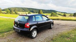 VW Polo 1.2 mit MFK