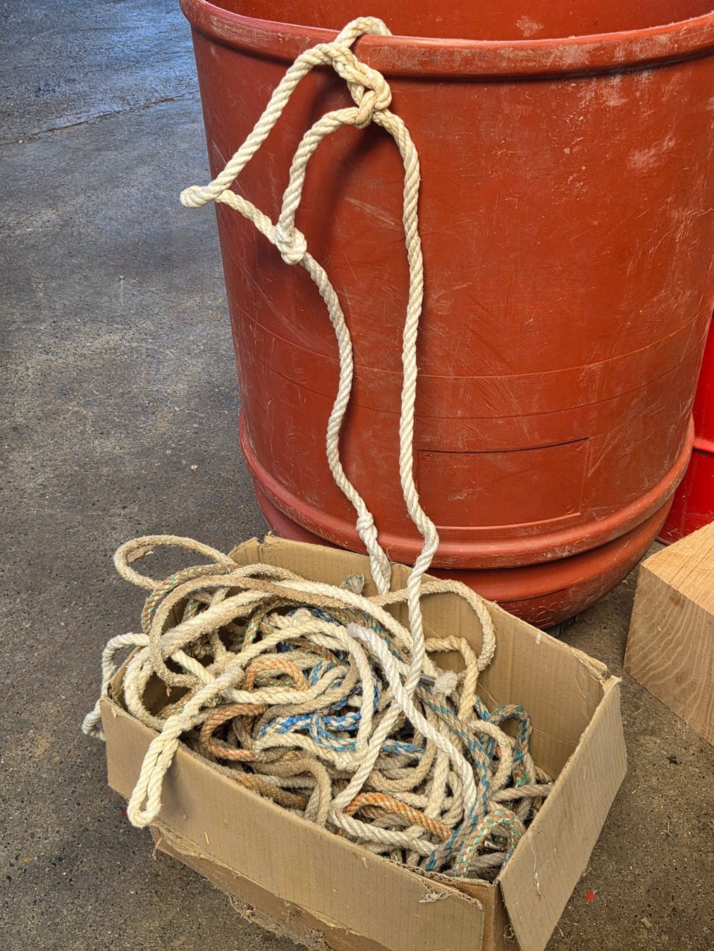 Zaumzeug & Halfter: Kuhhalftern – Gebraucht aus Hefenhofen von Frisch0