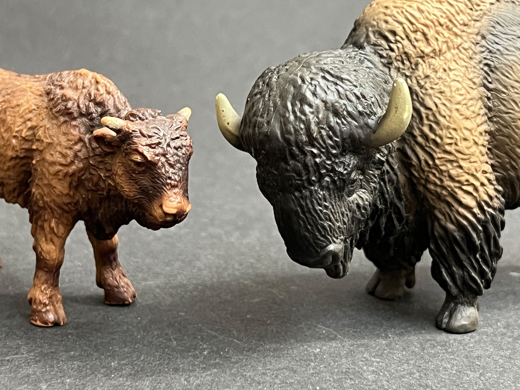 Schleich Statuette: Schleich Bison mit Kalb Büffel – Usato da Ennetbaden venduto da mapa05 2