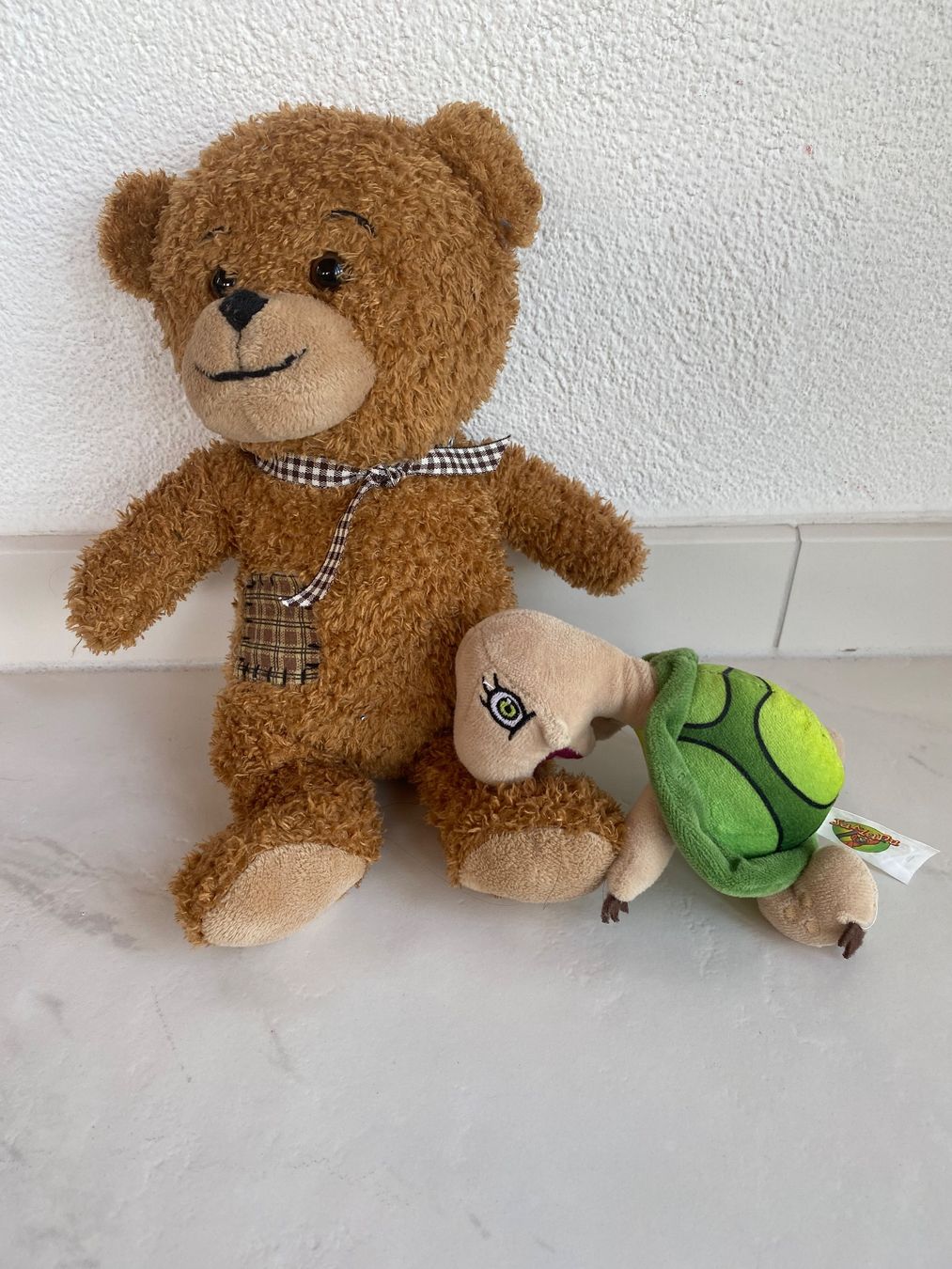 Spielzeuge: Bär und Turtle – Gebraucht aus Wagen von 20Ricola18 1