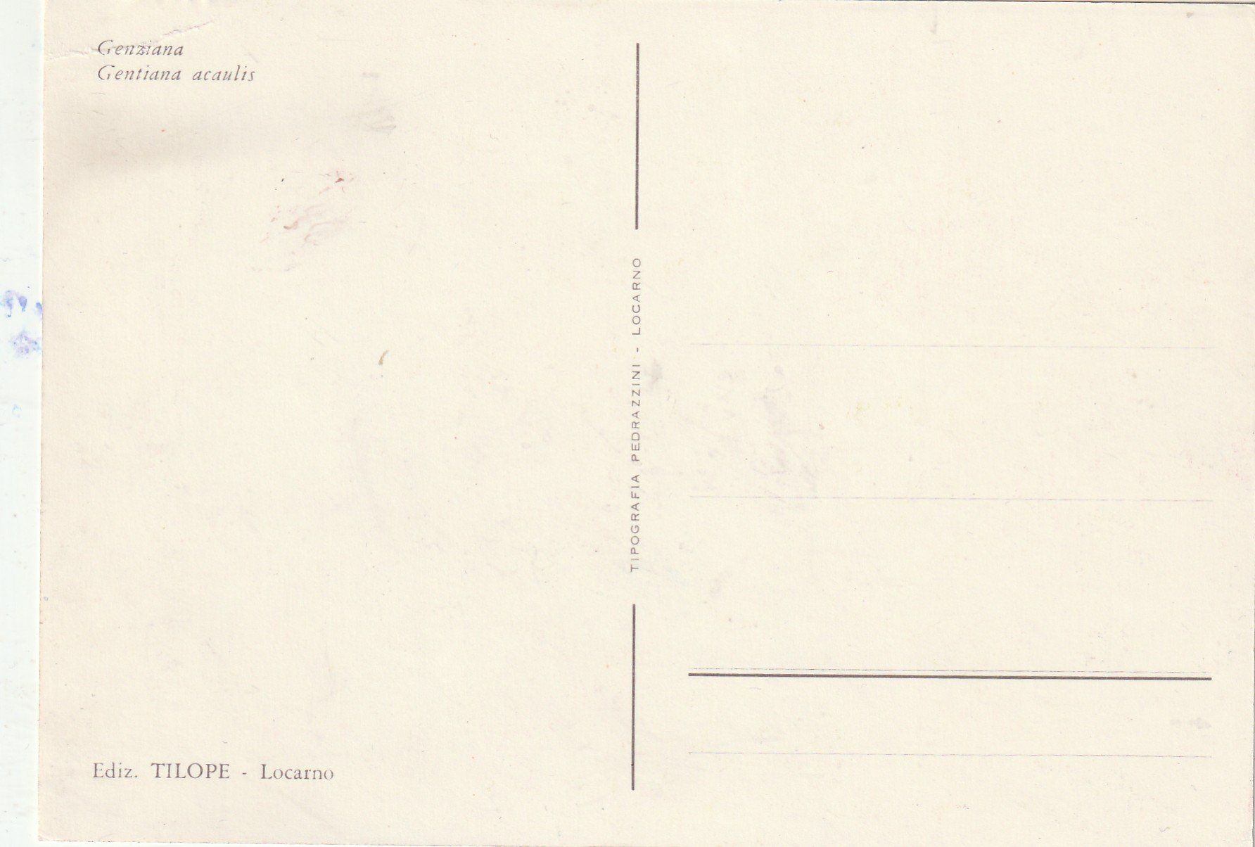 Cartoline postali: Blimenkarte – Usato da Lumbrein venduto da made02 1