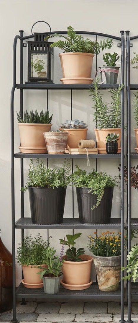Gartengestell/ Pflanzenregal, Metall, Schwarz, Top Zustand (Neu (gemss  Beschreibung)) in Herisau fr CHF 20  nur Abholung auf Ricardo kaufen