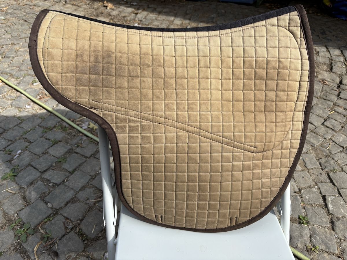 Sattel & Sattelzubehör: Satteldecke mit Moosgummi-Pad – Gebraucht aus St. Gallen von may_8fbd 4