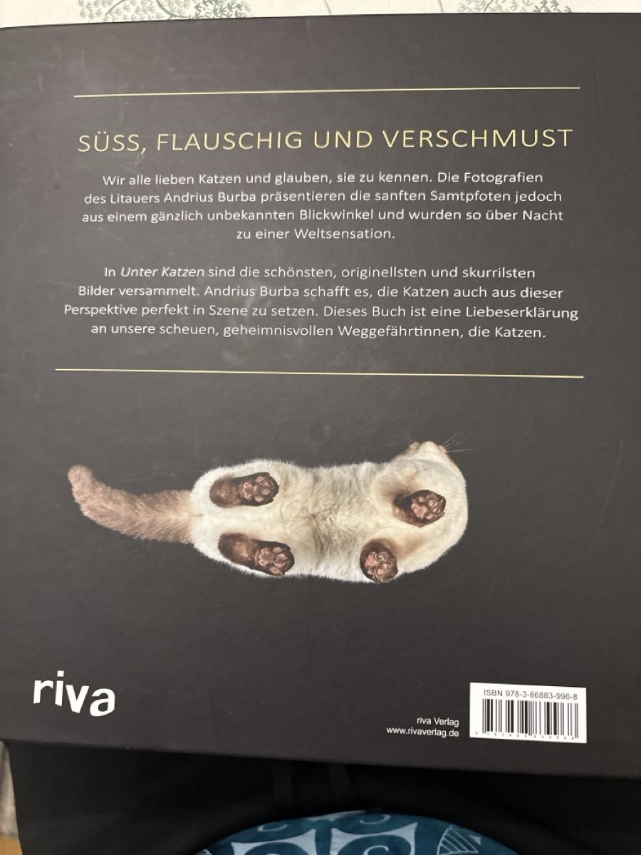 Libri: Unter Katzen – Nuovo (secondo la descrizione) da Schaffhausen venduto da Reporter 1